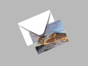 To buy a print or any of the below please click on the images